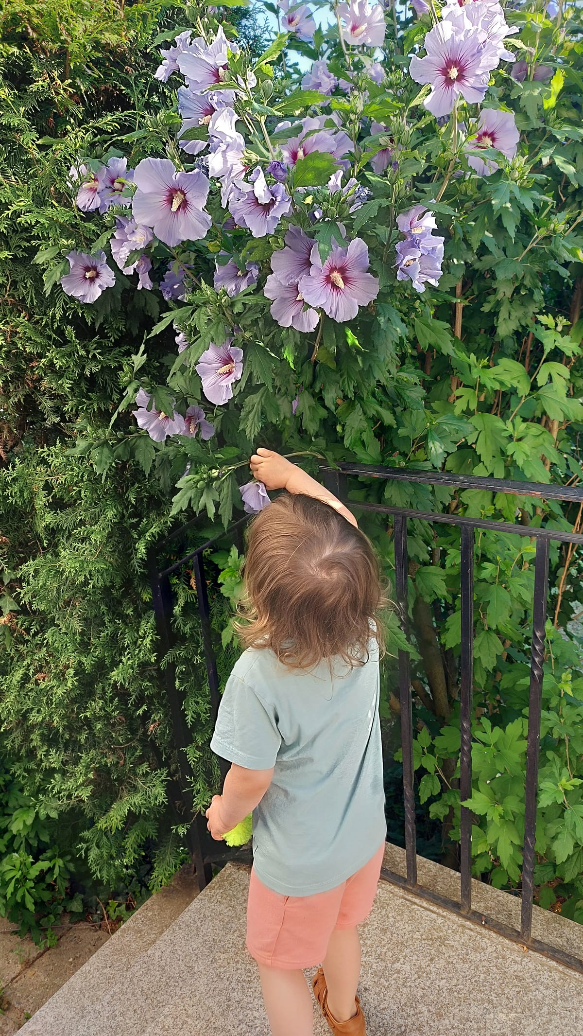 Warum sollte man Zeit im Garten verbringen?